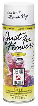  DESIGN MASTER 765 Spray Paint, Fuchsia Bright