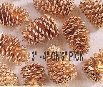 Pinecones, 3-4, Frosted on Picks, 100 Cones